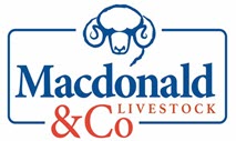 Macdonald Livestock
